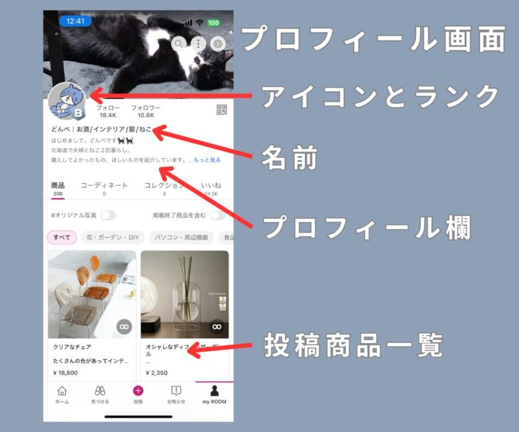 プロフィール欄と説明