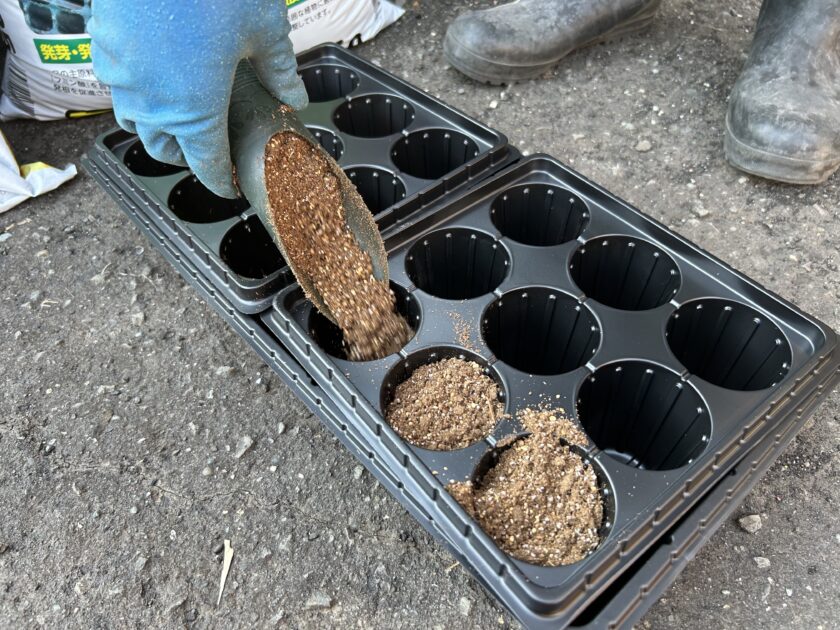 セルトレイに種まき培土を入れる
