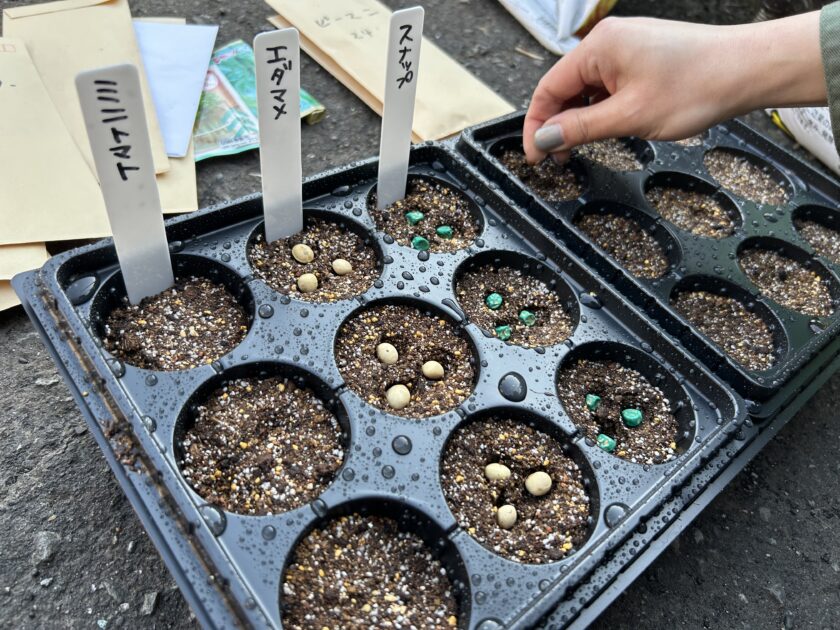 種をまきました