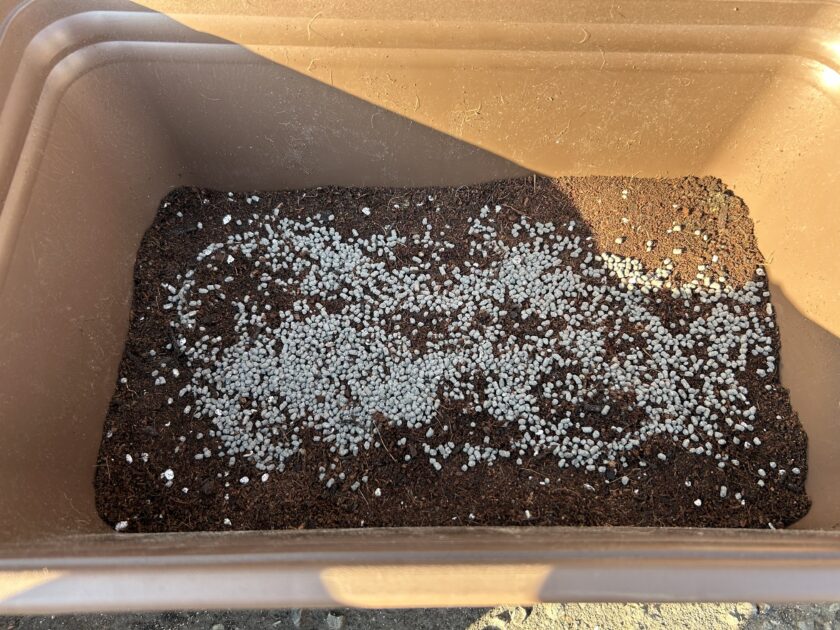 ショウガ栽培の土づくり