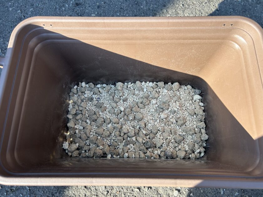 ショウガ栽培の土づくり