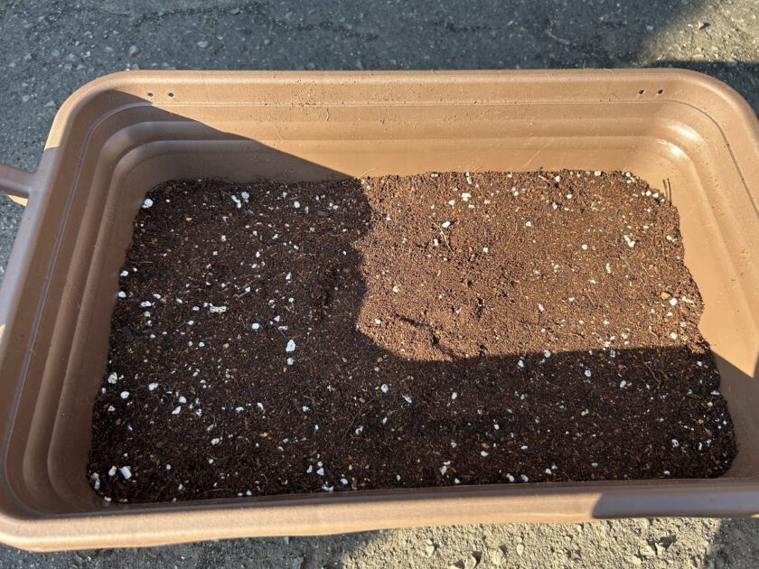 ショウガ栽培の土づくり