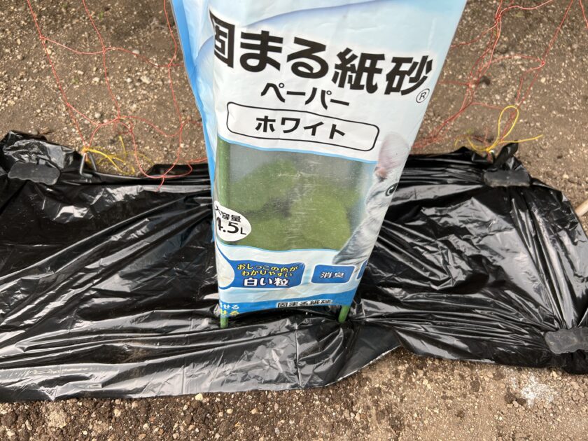 カボチャをビニールで覆う