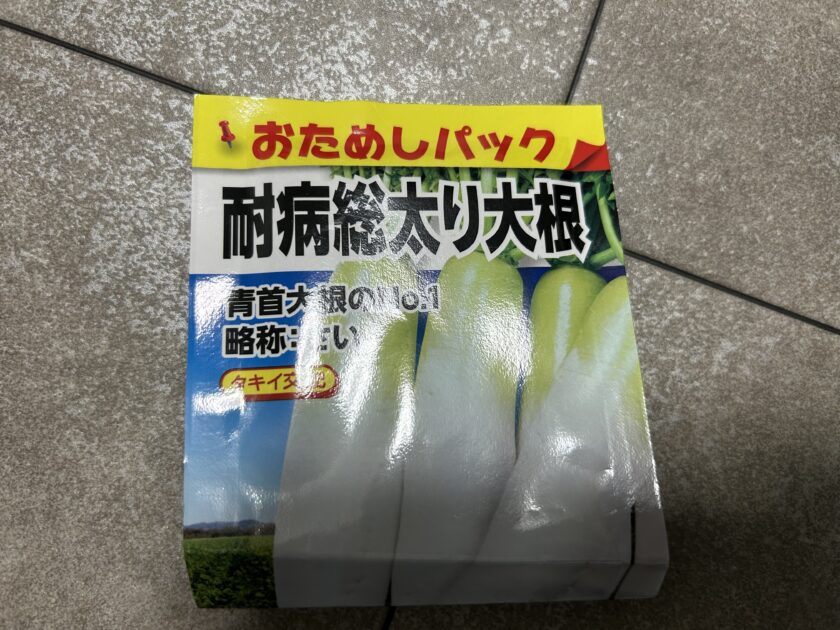 ダイコンの種