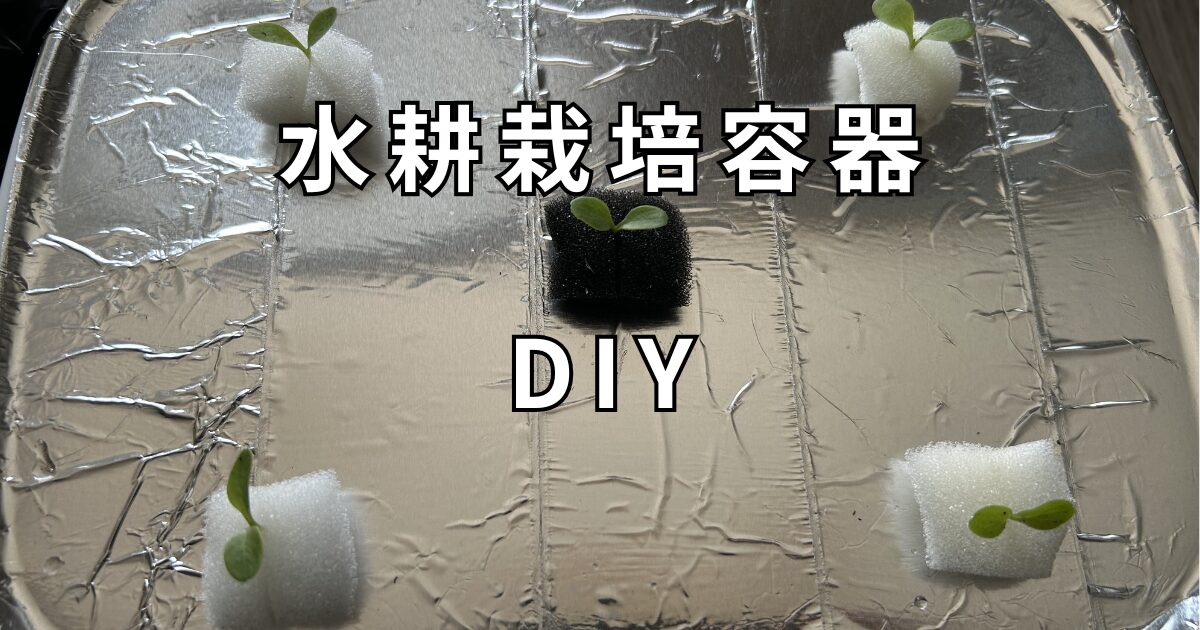 タッパーを利用した水耕栽培容器DIY　サムネイル
