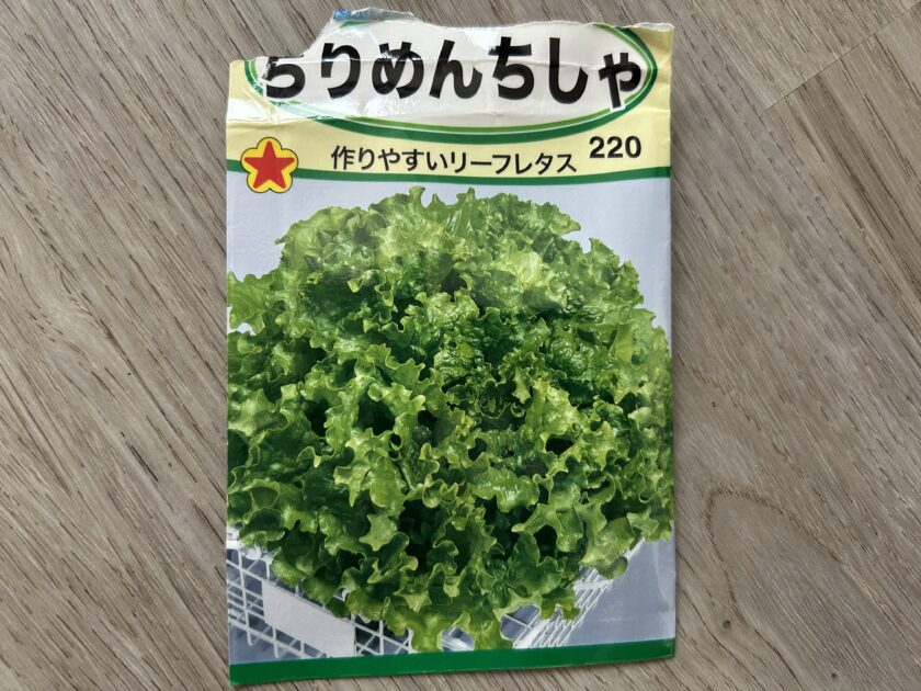 リーフレタスの種