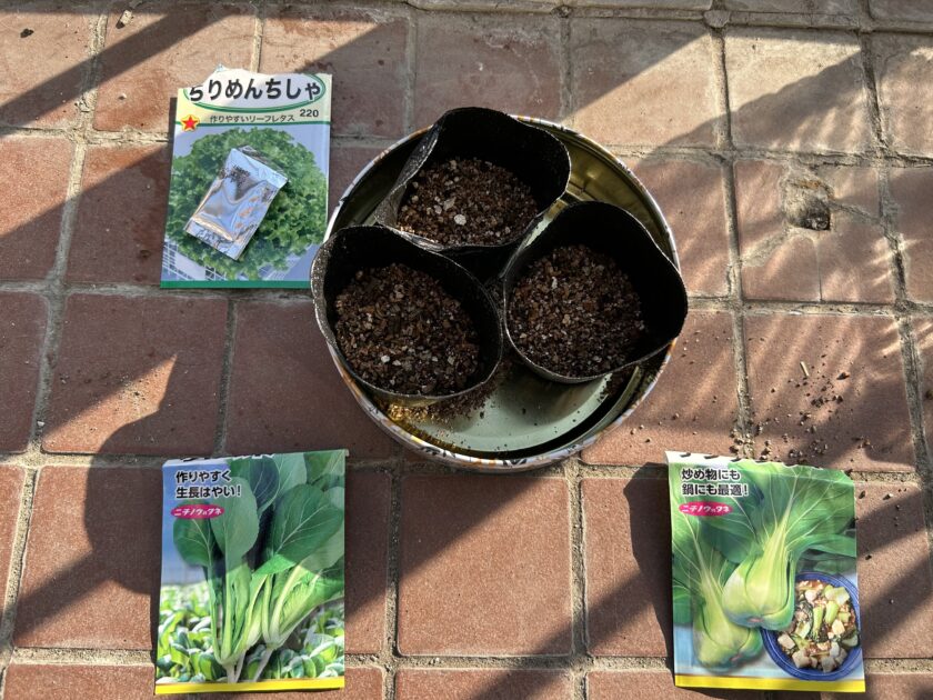 リーフレタスの種