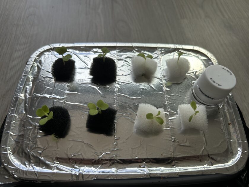 水耕栽培の準備