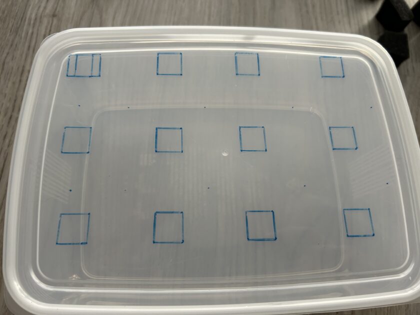 水耕栽培の準備