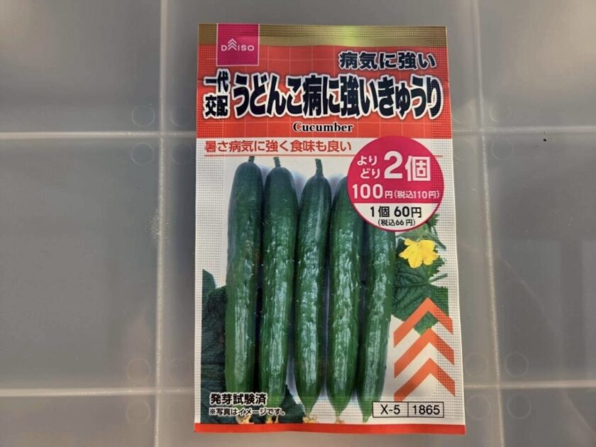 キュウリ　種