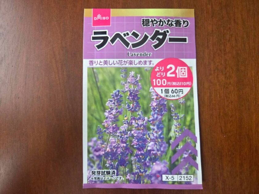 ラベンダー　種