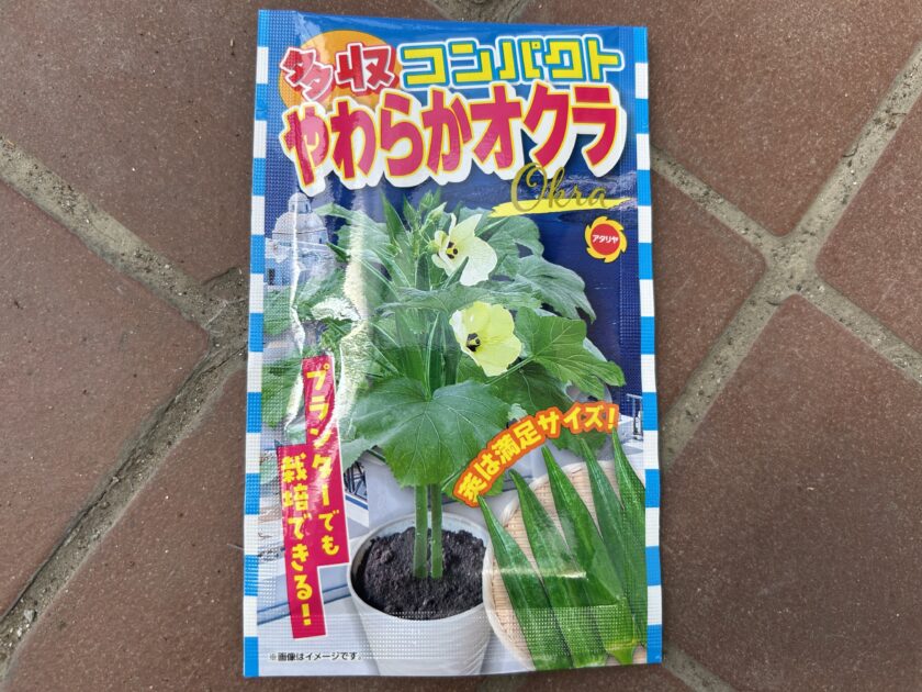 オクラ　種