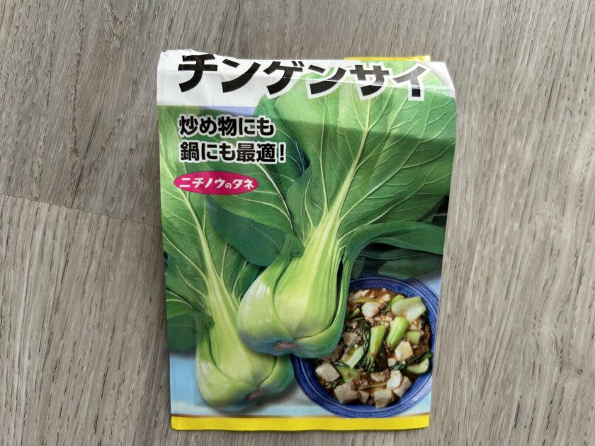 チンゲンサイ　種