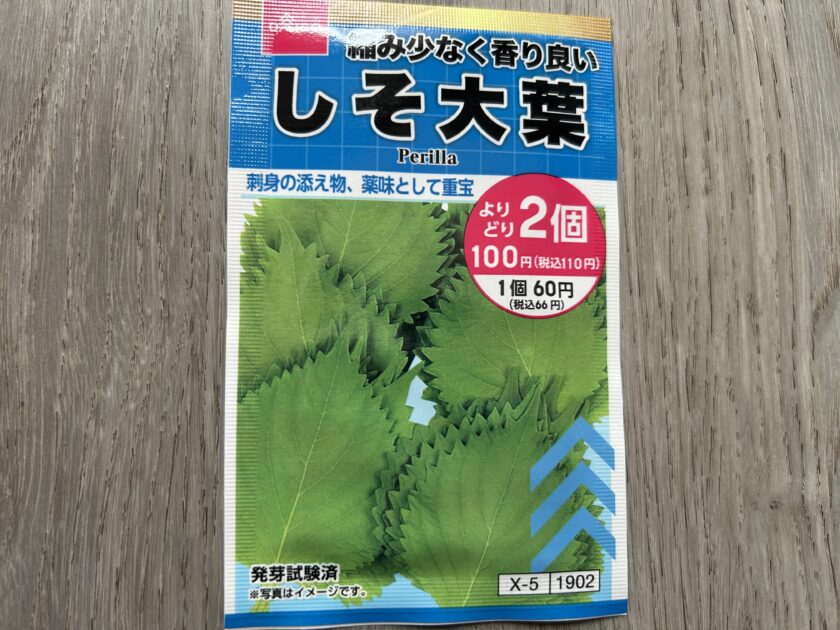 シソの種