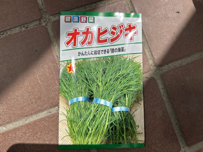オカヒジキの種