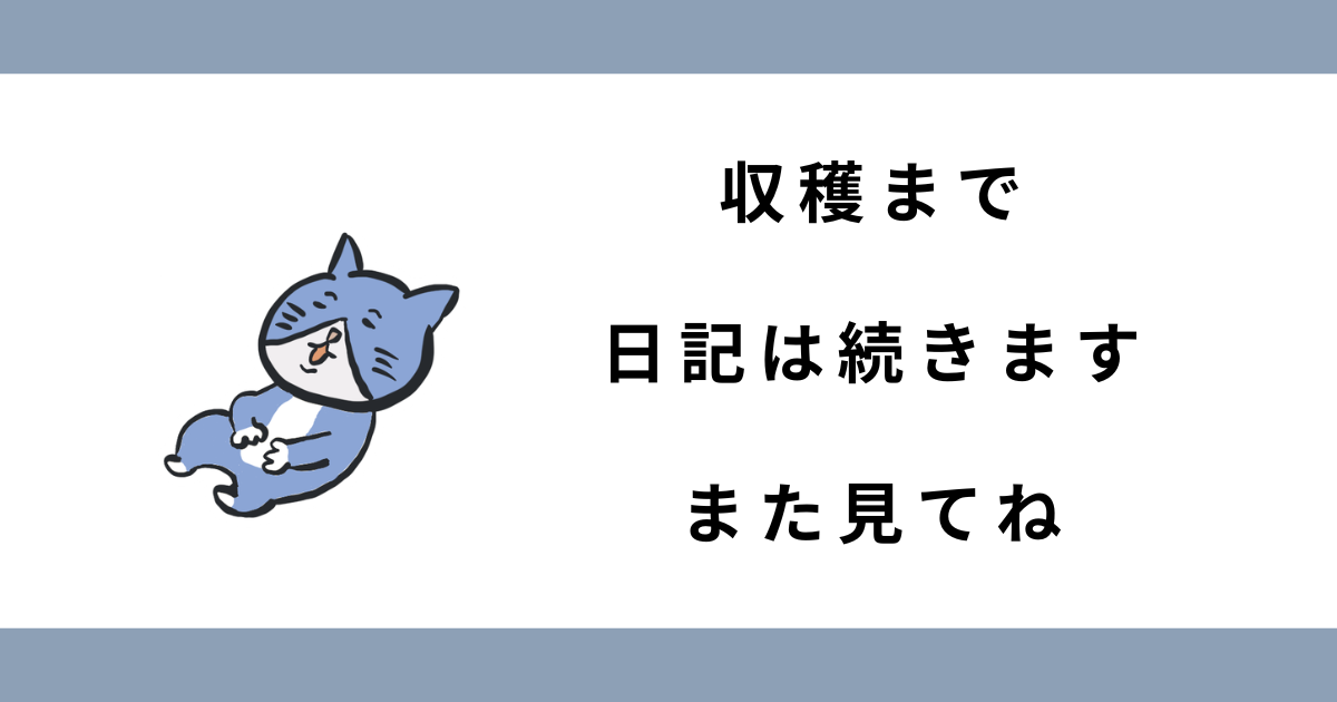 また見てね