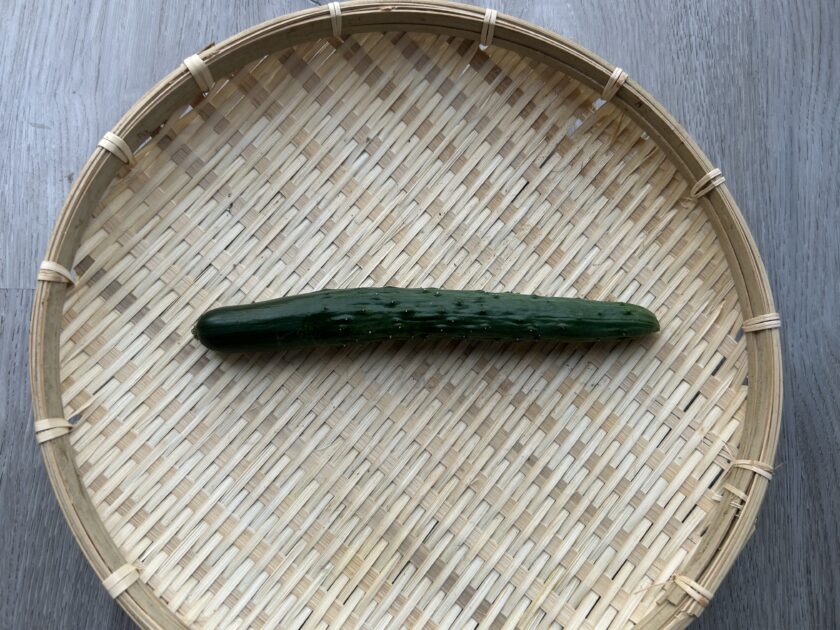 キュウリ収穫