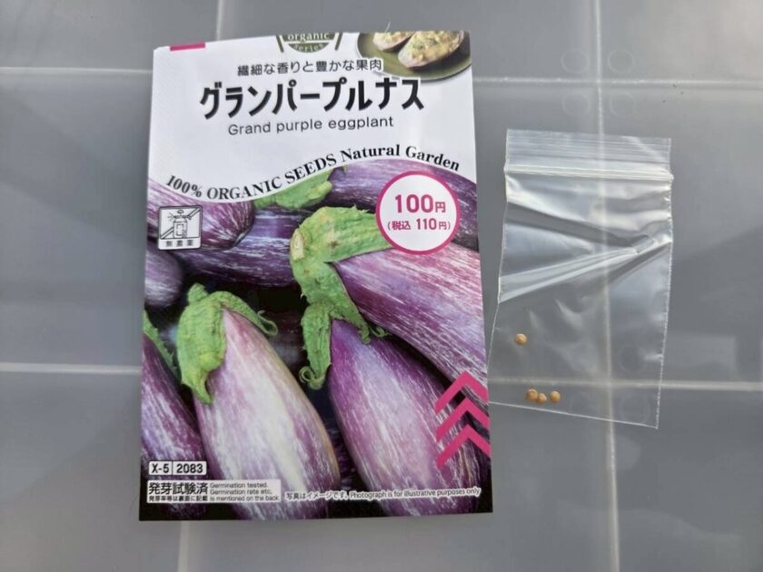 ナスの種