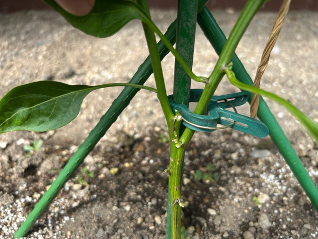 7/8