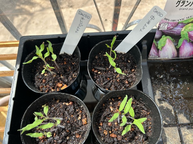 4/30