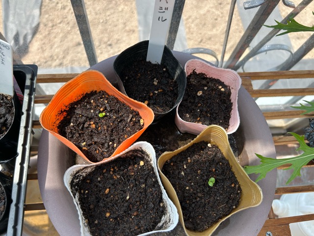 5/15