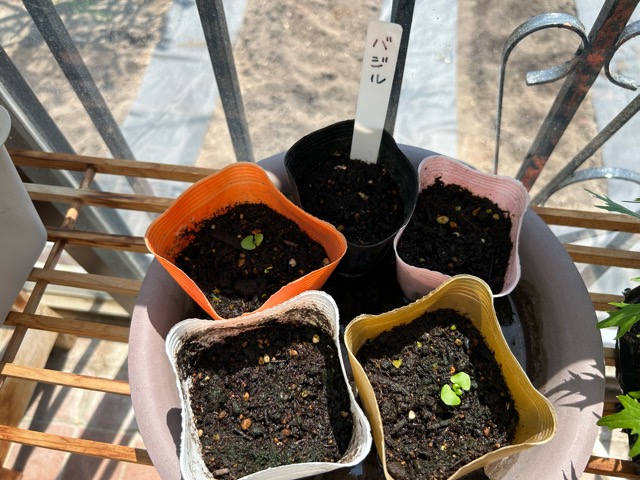 5/22