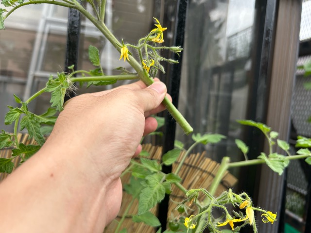 7/31