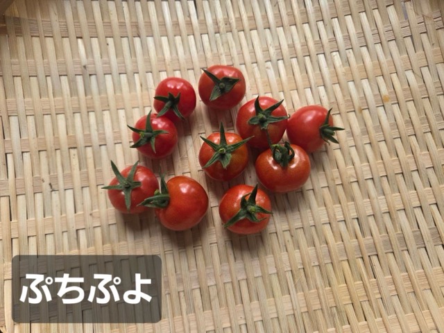 8/1