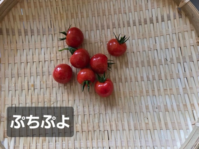 8/4