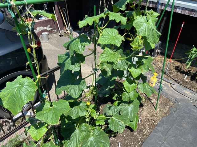 7/21