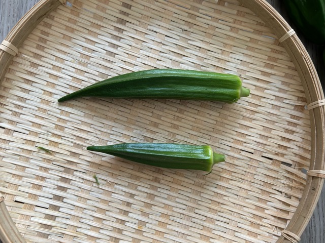 8/6