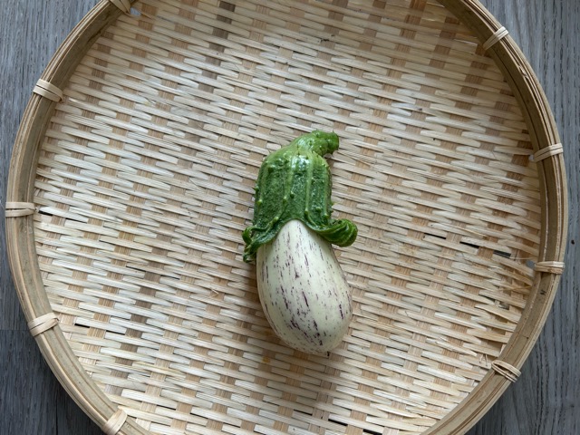 8/6