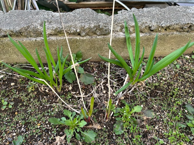 4/12