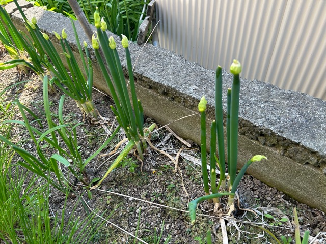 5/22