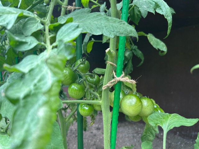 8/13