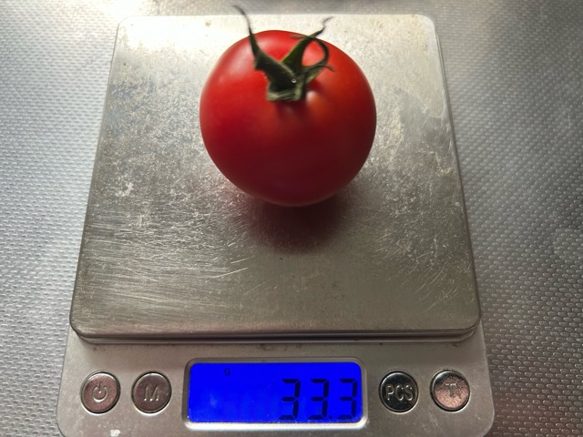 8/24