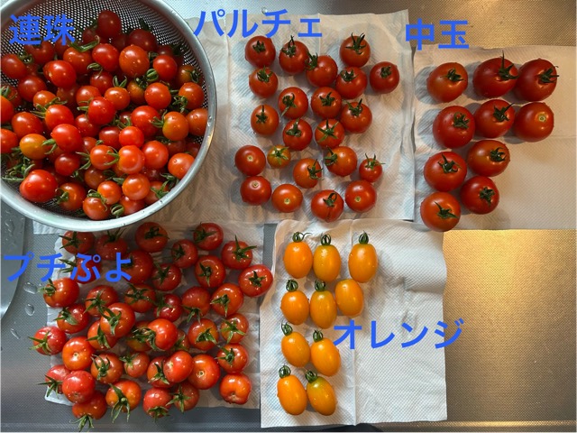 8/24