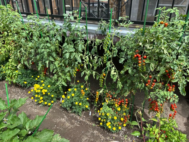8/20
