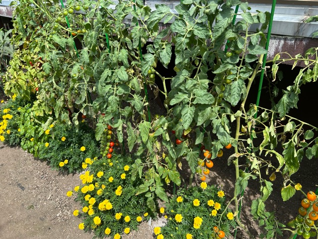 8/24