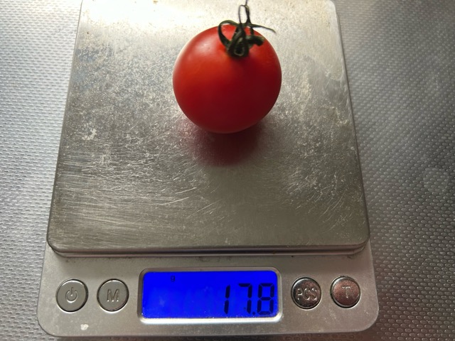 8/24