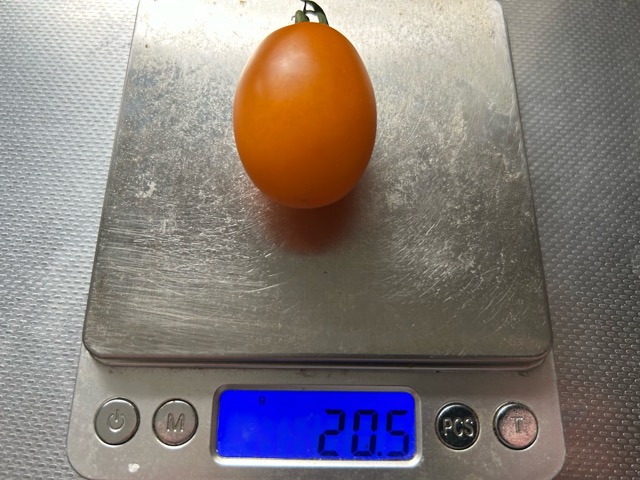 8/24