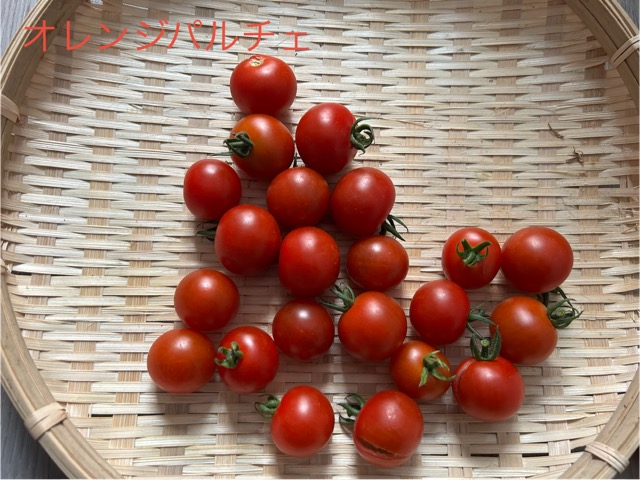 8/20