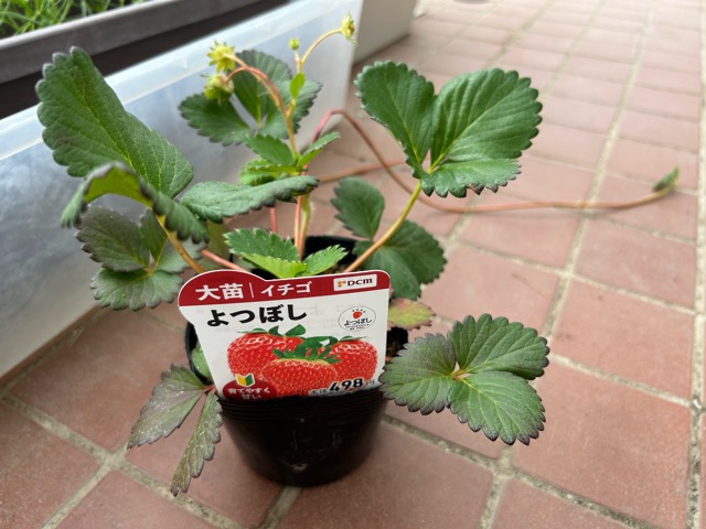 5/28