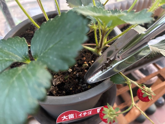 6/20