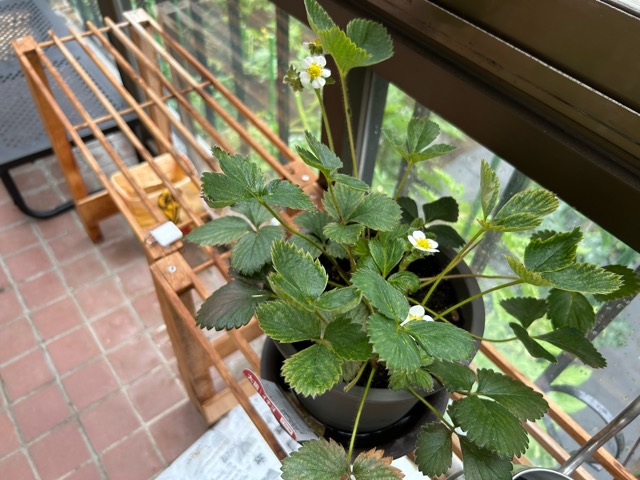 8/8