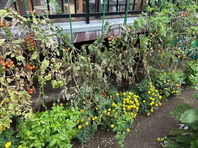 9/8