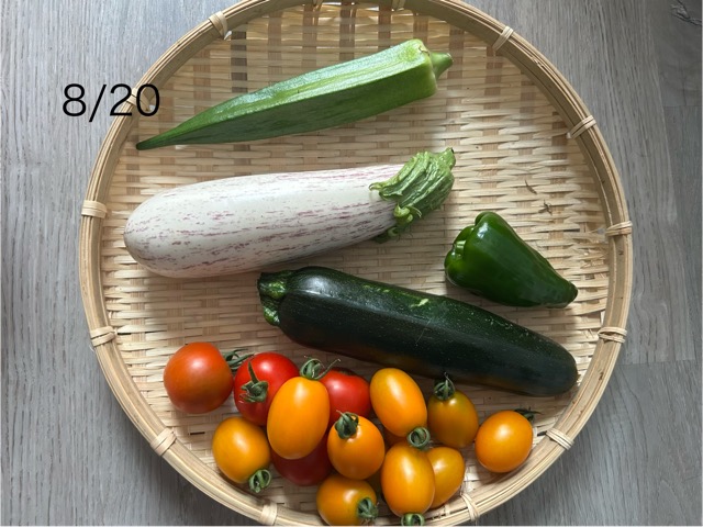 8/20