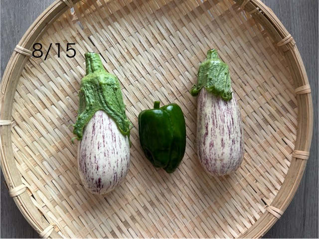 8/15