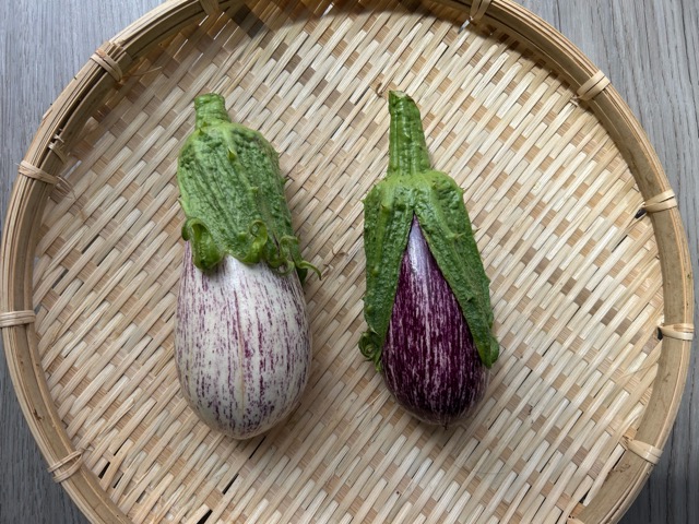 8/24