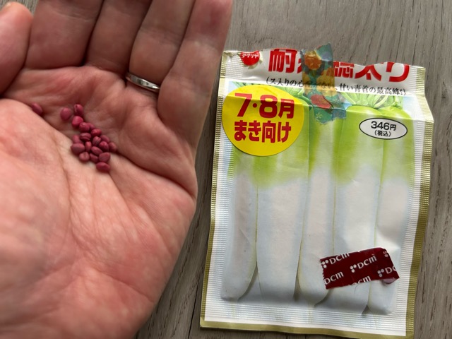 ダイコン